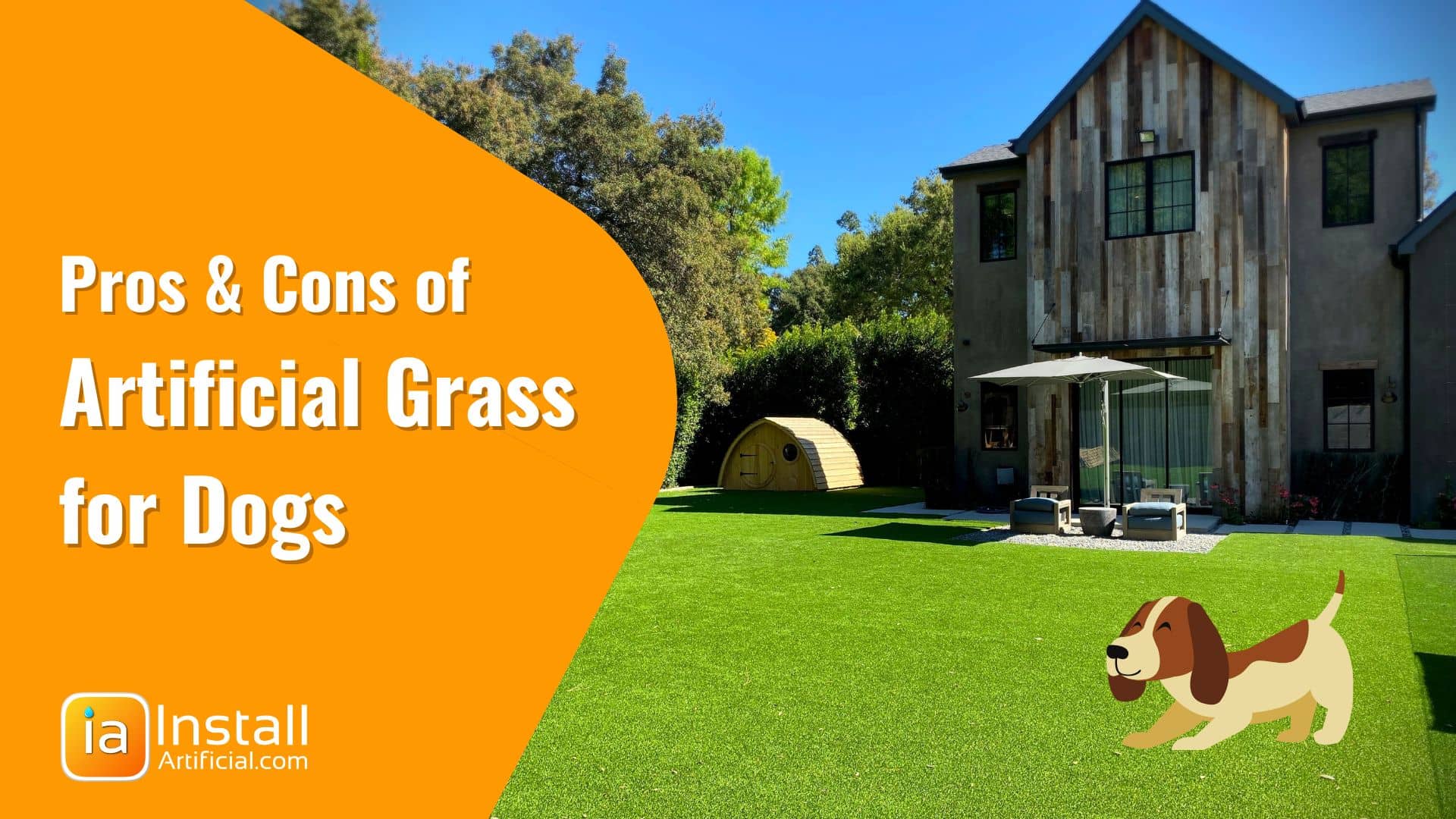 Finding the Best Artificial Grass for Dogs in New York City